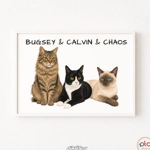 May include: A framed digital print featuring a brown tabby cat, a black and white tuxedo cat, and a cream-colored Siamese cat. The text BUGSEY & CALVIN & CHAOS is printed in black at the top. The artwork is displayed in a simple white frame.