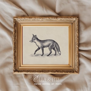 Puede incluir: Una impresión artística enmarcada de inspiración vintage con una detallada ilustración en blanco y negro de un zorro caminando. La obra de arte está sobre un fondo neutro y enmarcada en un marco dorado ornamentado. El texto "Ella & Fitz" y "Vintage Inspired Art Prints" es visible.