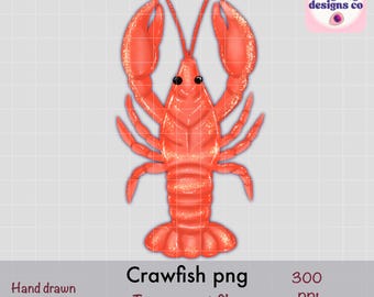 Hand Drawn Crawfish Clipart | Mardi grass Lobster printable | crawfish sublimation and transfer