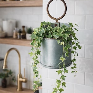 Farmhouse Metal Loop Planter