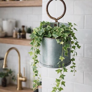 Farmhouse Metal Loop Planter | Rustic Wall Hanging Planter | Industrial Herb Pot | Cottagecore Wall Decor