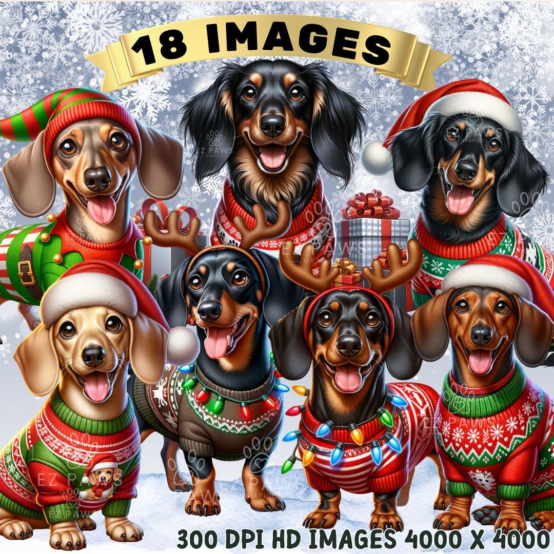 Christmas Dachshund Clipart Bundle: 18 Holiday Doxie Dog PNG Graphics ...