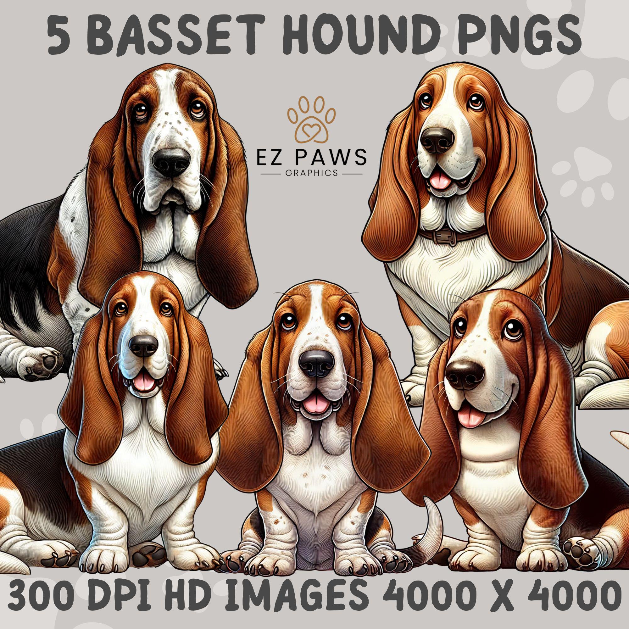 Cartoon Basset Hound