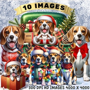 Kerstbeagle-clipartbundel: vakantiehond png-afbeeldingen (commercieel gebruik, digitale download)
