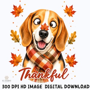 Puede incluir: Un beagle de dibujos animados con ojos bizcos lleva una bufanda de cuadros, con una hoja de arce en la nariz, rodeado de hojas de otoño. El texto Thankful está escrito debajo del perro, con EZ PAWS GRAPHICS y 300 DPI HD IMAGE DIGITAL DOWNLOAD.