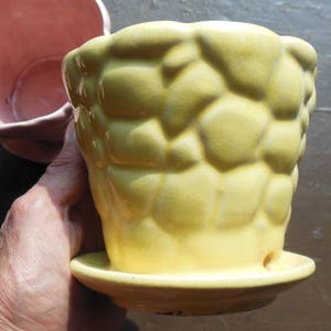 May include: A yellow ceramic planter with a textured, bubble-like design. The planter has a matching saucer and is held by a person. A pink planter is visible in the background. The theme is home decor.