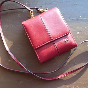 Cartera Etienne Aigner con correa desmontable, color burdeos