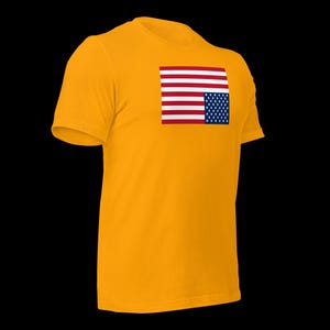 Upside Down American Flag Shirt – U.S. Flag in Distress Symbol – Protest Tee for Democracy, Civil Rights & National Duress Statement