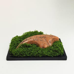 Jurassic Park Velociraptor Claw Display Collectible, Jurassic World Movie Replica