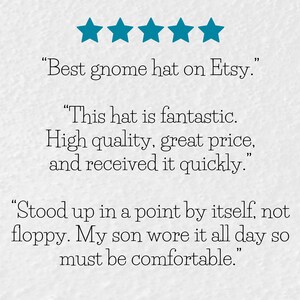 May include: Five star review for a gnome hat. The review states "Best gnome hat on Etsy."  "This hat is fantastic. High quality, great price, and received it quickly."  "Stood up in a point by itself, not floppy. My son wore it all day so must be comfortable."