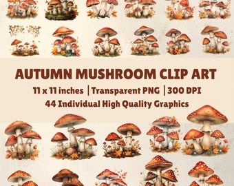 Herfstpaddestoel-illustraties: herfst-png-afbeeldingen voor persoonlijk of commercieel (300 dpi)
