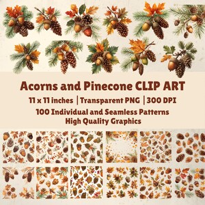 May include: A selection of autumn-themed clip art showing acorns, pine cones, and vibrant leaves. The image presents individual elements and seamless patterns. The text reads "Acorns and Pinecone CLIP ART" and specifies the size as 28 x 28 cm.