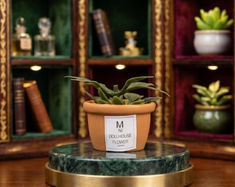 Mini plante en pot à l'échelle 1:12, succulente de simulation réaliste, accessoire de jardin féerique pour maison de poupée