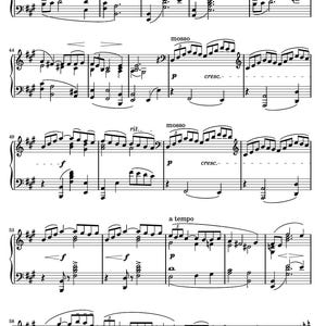 May include: Sheet music with musical notation, including treble and bass clefs, notes, and dynamic markings. The text "Tempo Rubato" and other musical terms are visible. The page is white with black ink.
