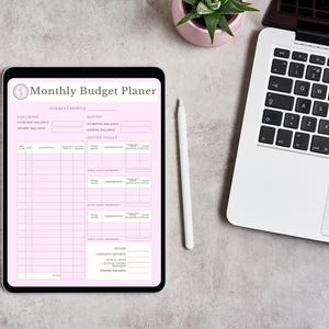 Blush Pink Aesthetic Monthly Budget Planer Template