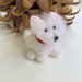 see more listings in the Westies section