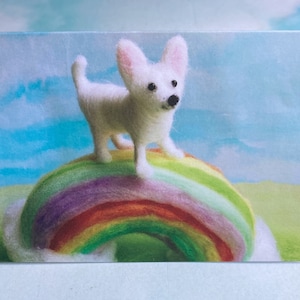 Greeting card - Chihuahua rainbow bridge card with envelope, chihuahua  sympathy card, pet condolences, rainbow greeting, chihuahua picture