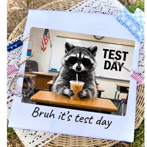 Bruh Its Test Day Png, Funny Raccoon Teacher Shirt Design, Testing Season Png, Iced Coffee Raccoon Png, trendy School Counselor Humor Gifts