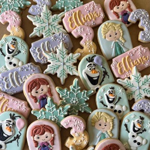 Frozen theme sugar cookies