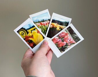 Tulips Mini Art Prints - Set of four flower Instax Mini Pictures