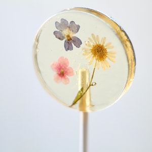 Pressed Flower Lollipop Gift Bridal Engagement Party Baby Shower Events Mixed Flower Romantic Lollipop English Country Garden Theme image 5