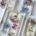 see more listings in the PRESSED FLOWER LOLLIPOPS section