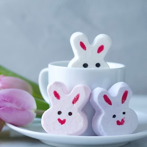 Easter Bunny Marshmallows - Easter Sunday Treats - Easter Gourmet Gift - Easter Party Favors - Egg  Hunt - Peeps - Easter Brunch -16 PCS