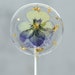 see more listings in the PRESSED FLOWER LOLLIPOPS section