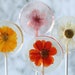 see more listings in the PRESSED FLOWER LOLLIPOPS section