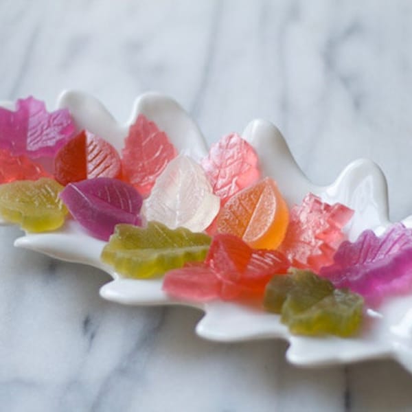 Fall Leaves Kohakutou Candy  Gift  - Decorative Fall Edible Hostess Gift - Thanksgiving Foodie Gift - Japanese Vegan Candy - Autumn Shades