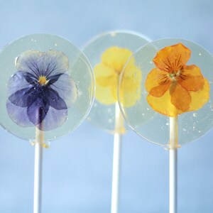 Viola Pansy Flower Lollipops Bridal Party Favors Edible Flower Lollipop Gourmet Gift Flower Theme Event Botanical Candy 8 PCS image 5