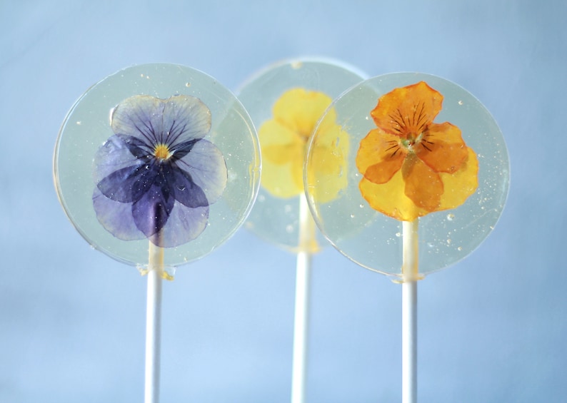 Viola Pansy Flower Lollipops Bridal Party Favors Edible Flower Lollipop Gourmet Gift Flower Theme Event Botanical Candy 8 PCS image 5