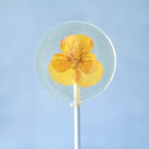 Viola Pansy Flower Lollipops Bridal Party Favors Edible Flower Lollipop Gourmet Gift Flower Theme Event Botanical Candy 8 PCS image 7