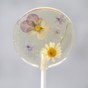 Pressed Flower Lollipop Gift Bridal Engagement Party Baby Shower Events Mixed Flower Romantic Lollipop English Country Garden Theme image 8