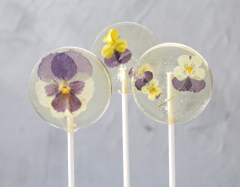 Viola Pansy Flower Lollipops Bridal Party Favors Edible Flower Lollipop Gourmet Gift Flower Theme Event Botanical Candy 8 PCS image 1