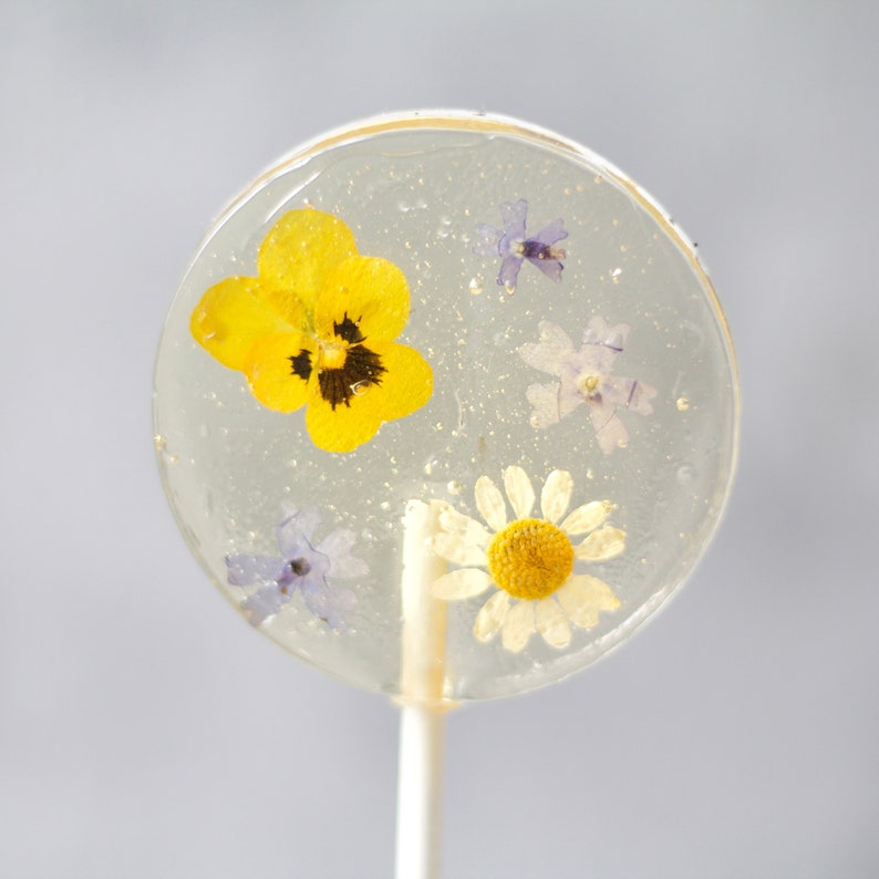 Pressed Flower Lollipop Gift Bridal Engagement Party Baby Shower Events Mixed Flower Romantic Lollipop English Country Garden Theme image 6