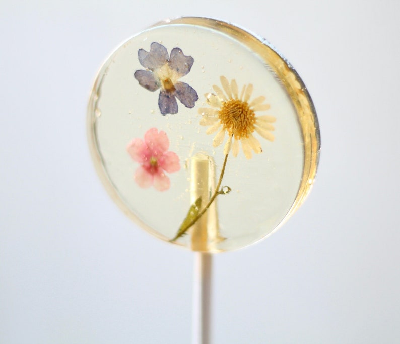 Pressed Flower Lollipop Gift Bridal Engagement Party Baby Shower Events Mixed Flower Romantic Lollipop English Country Garden Theme image 5