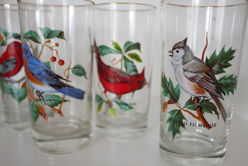 Vintage Song Bird Drinking Glasses with Gold Rims Set of Five Etsy