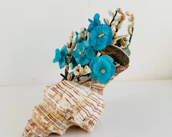 Vintage Seashell Arrangement in a Shell