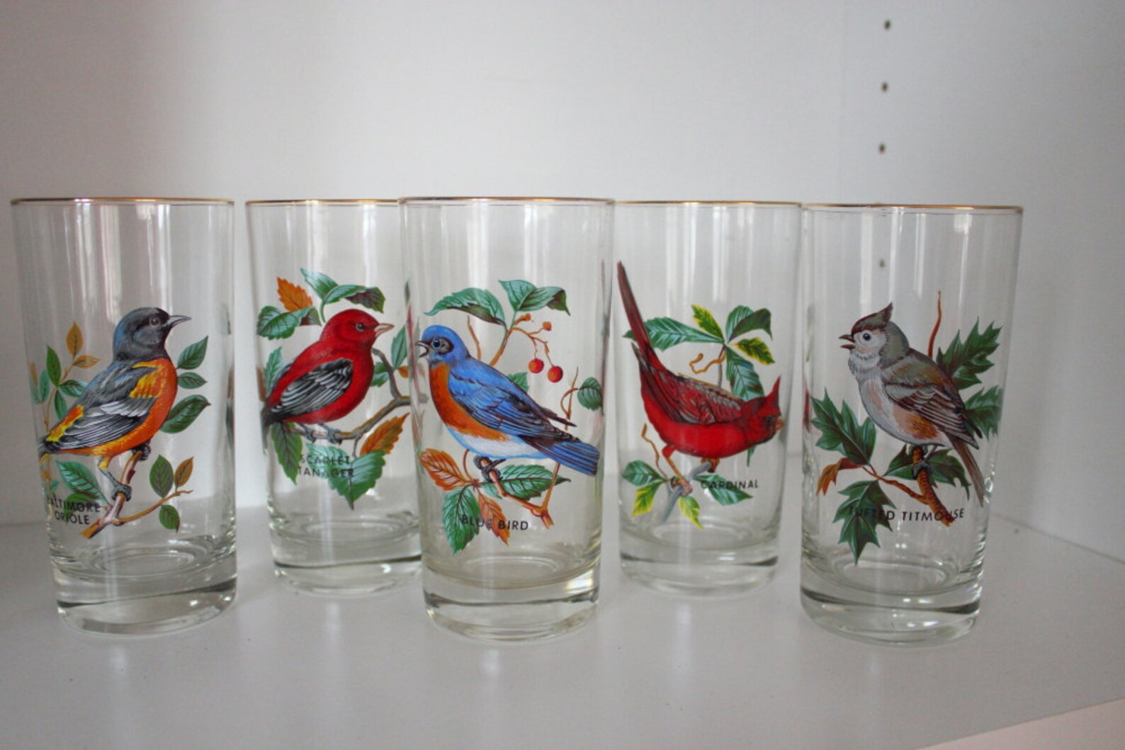 Vintage Song Bird Drinking Glasses with Gold Rims Set of Five Etsy