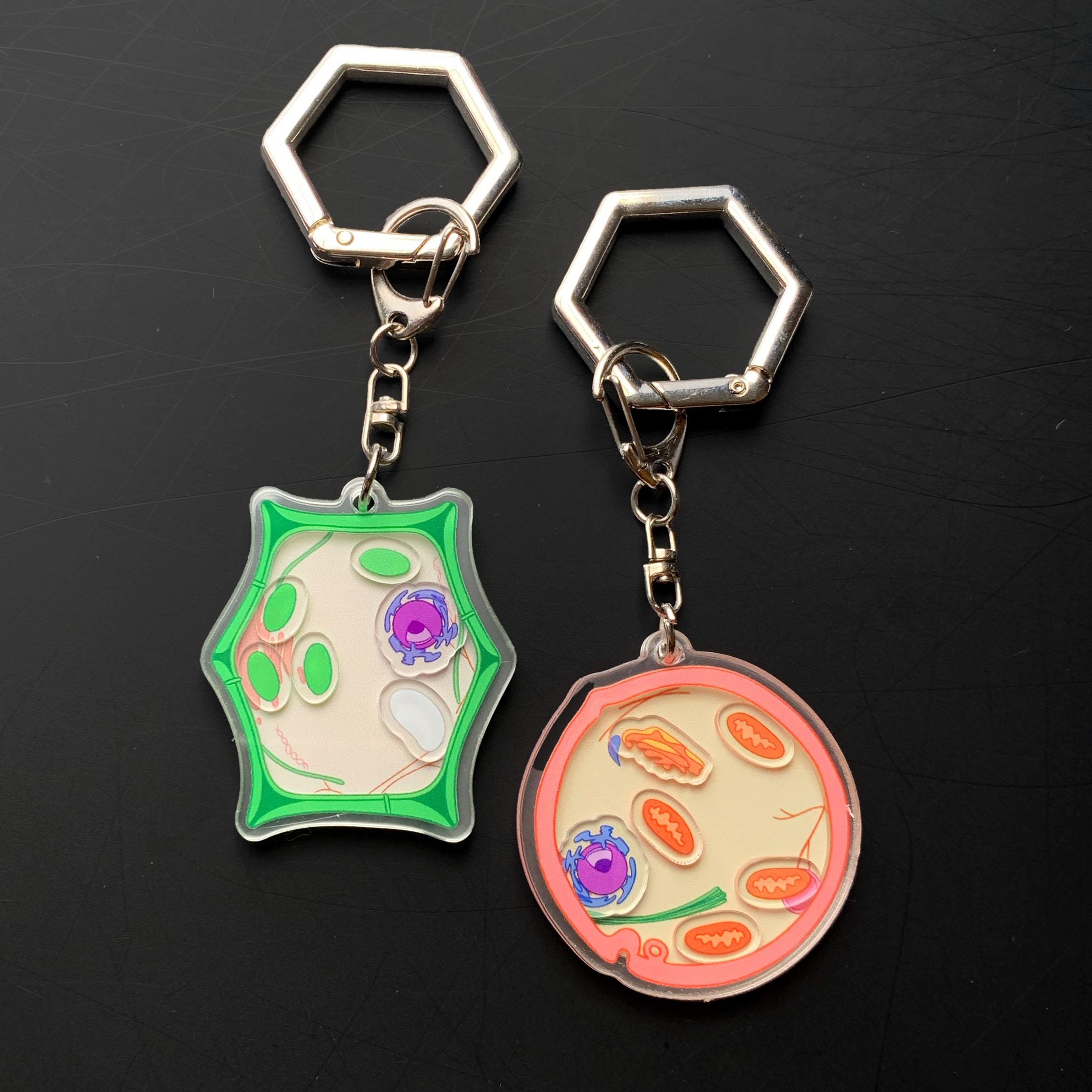 1 BIOLOGY CELL Shaker KEYCHAIN | Plant | Animal | Science | Organism ...