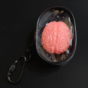 BRAIN organ TABA SQUISHY in keychain zipper pouch | neuron medicine science biology neurology | fidget sensory toy trinket novelty relief