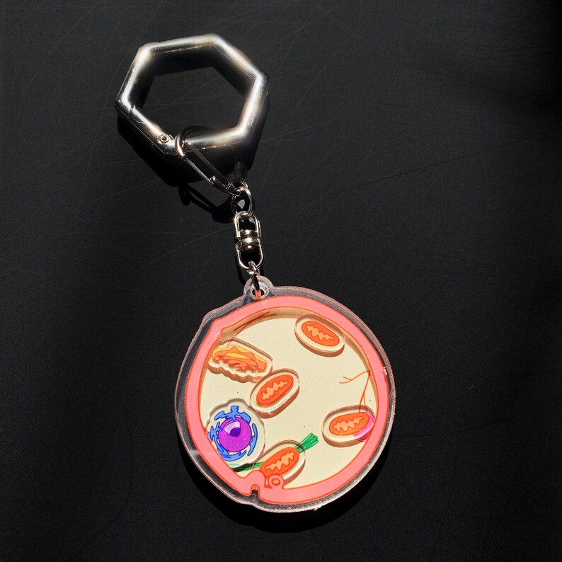 1 BIOLOGY CELL Shaker KEYCHAIN | Plant | Animal | Science | Organism ...