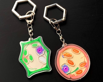 1 BIOLOGY CELL shaker KEYCHAIN | Plant | Animal | science | organism | medical | acrylic | charm accessories | trinket | carabiner | fidget