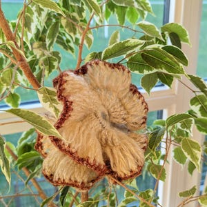 Hand-Crocheted Mohair Scrunchie: Champagne Beige Hair Tie with Brown Edging