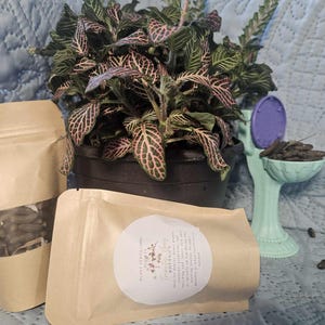 Plant Fertilizing Pellets