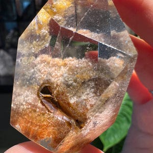 Polished Garden Quartz Freeform