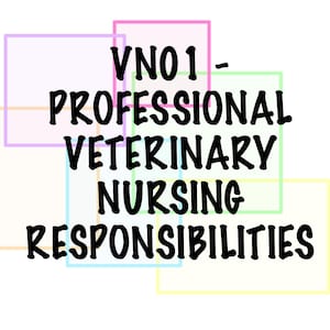 May include: Image featuring the text "VNO 1 - PROFESSIONAL VETERINARY NURSING RESPONSIBILITIES" in a black, handwritten font. The text is set against a backdrop of overlapping pastel-coloured squares.