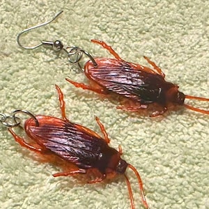 May include: A pair of novelty earrings featuring detailed, realistic cockroach designs. The earrings have silver-colored hooks and the insects are primarily brown and orange with long antennae. The earrings are displayed on a textured, light green surface.