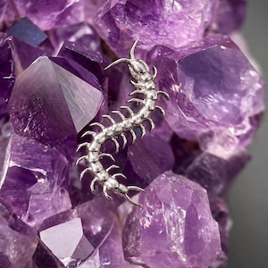 May include: A silver-toned centipede-shaped brooch or ornament with a segmented body and multiple thin legs, featuring a polished metallic finish. The object is positioned against a cluster of deep purple, translucent amethyst crystal formations.